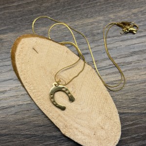 Collar herradura acero — Carol Barrera Tienda Equina